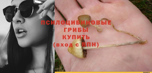 jwh Алзамай