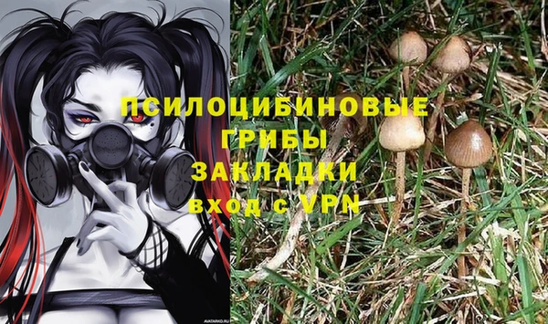 прущие крисы Зеленодольск